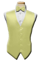 tux rental gold vest and bow tie