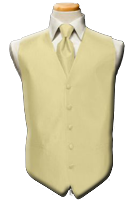 Tux rentals almond vest